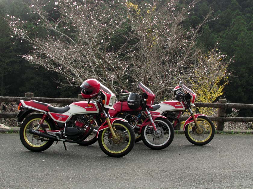 イメージ 14