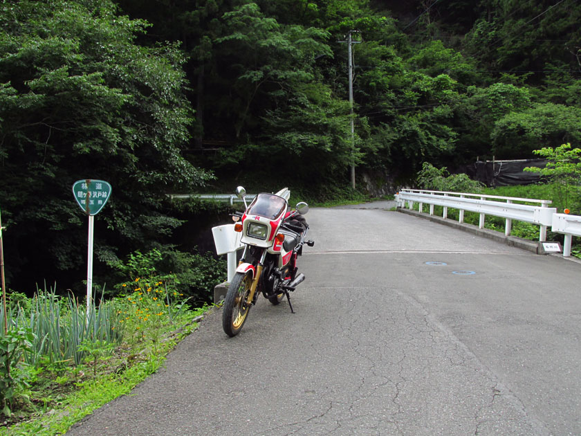イメージ 43