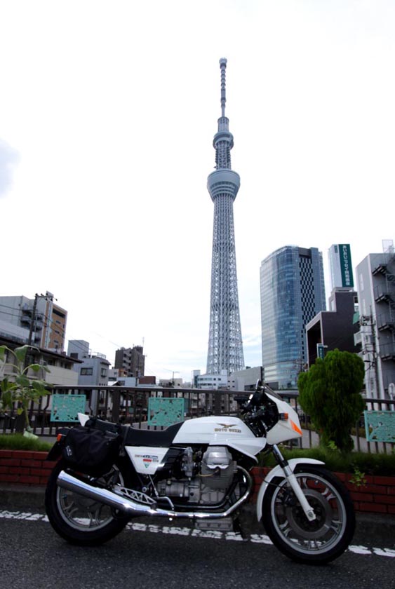 イメージ 15