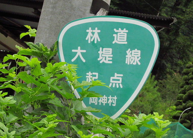 イメージ 31