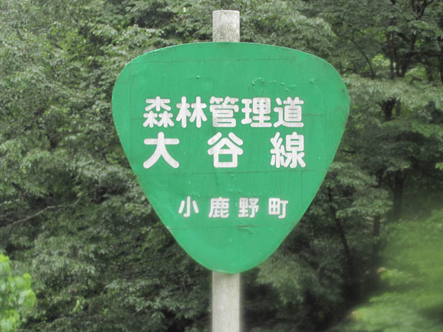 イメージ 43