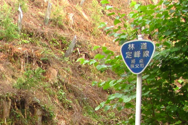 イメージ 14
