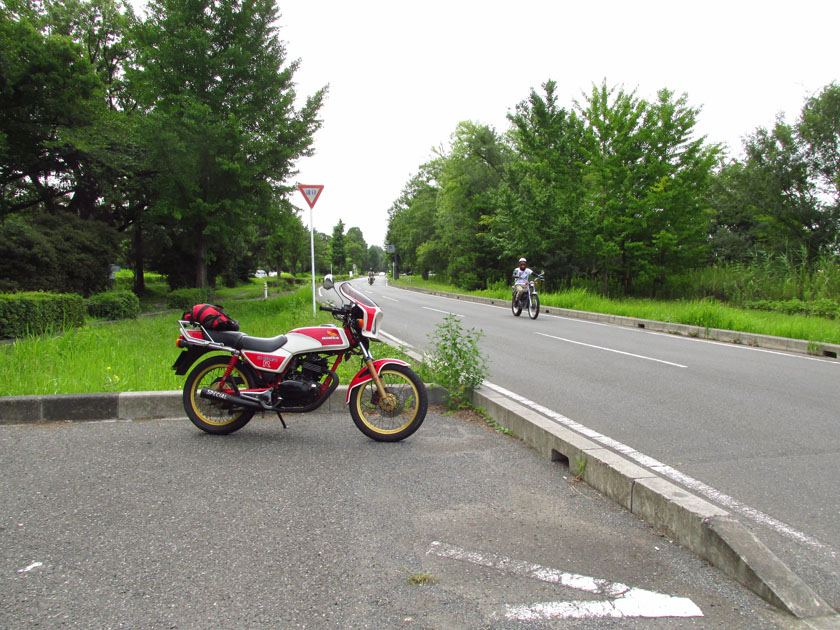 イメージ 1