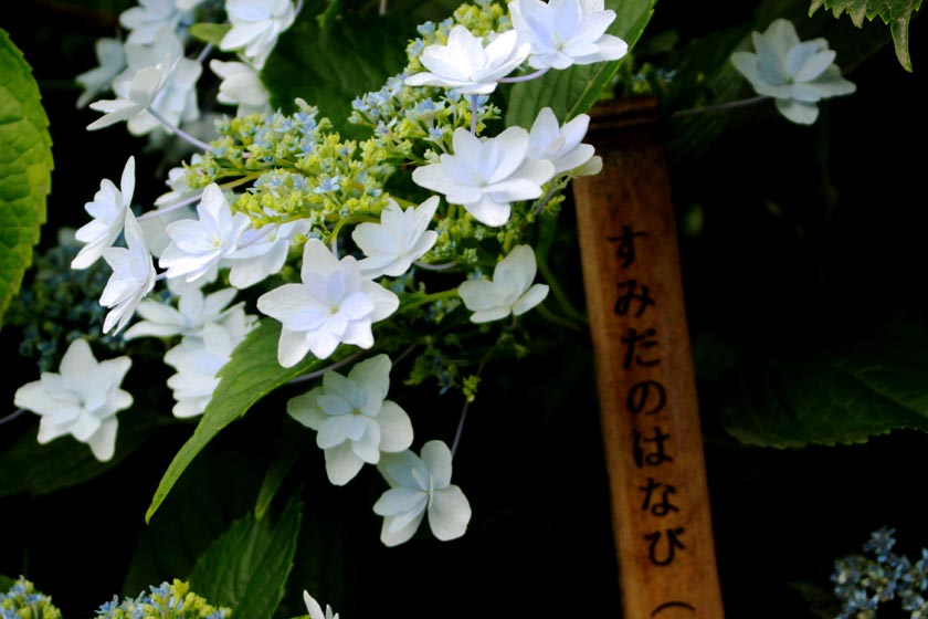 イメージ 24