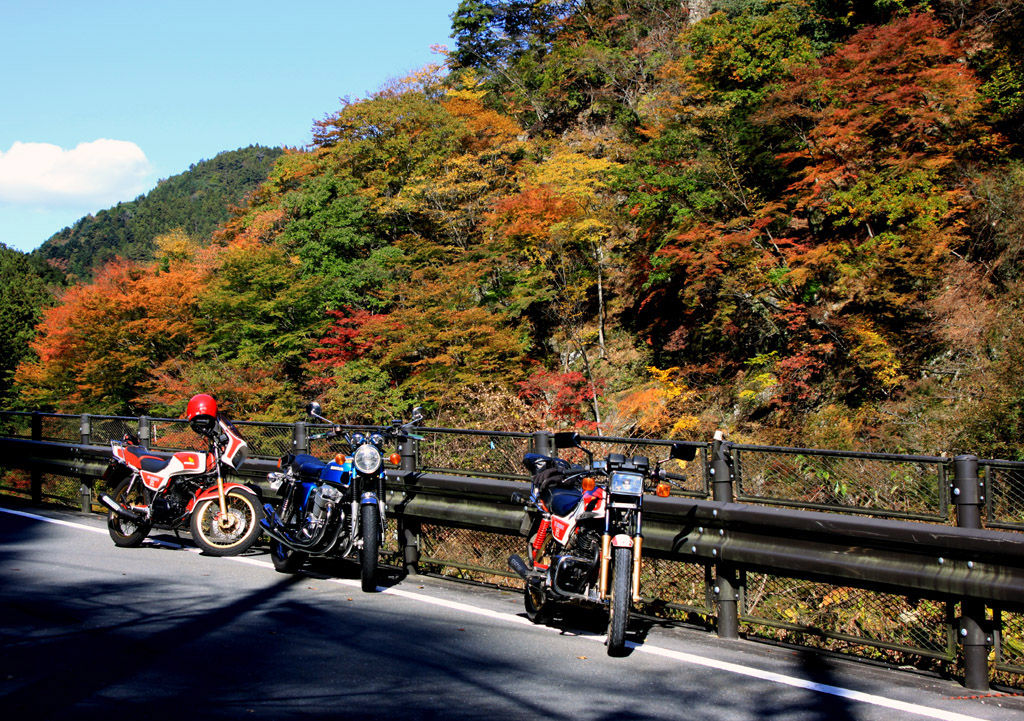 イメージ 37