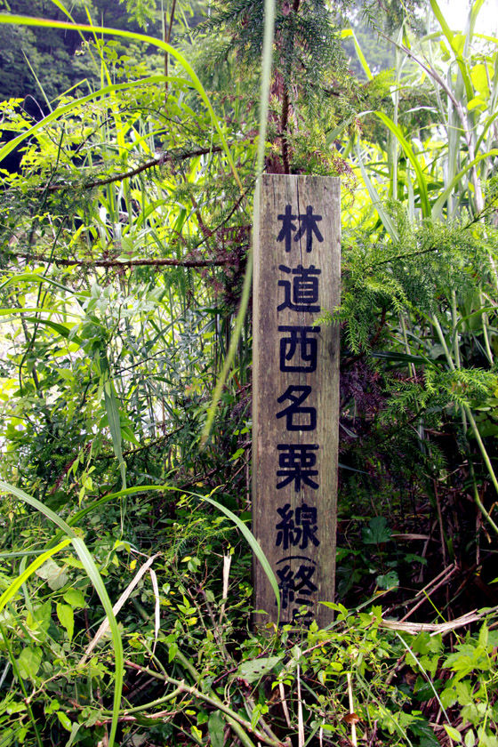 イメージ 18