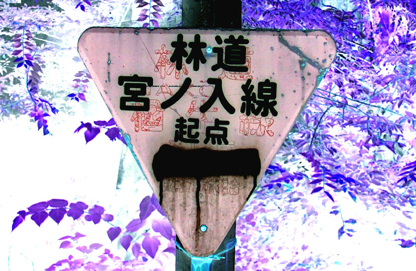 イメージ 6
