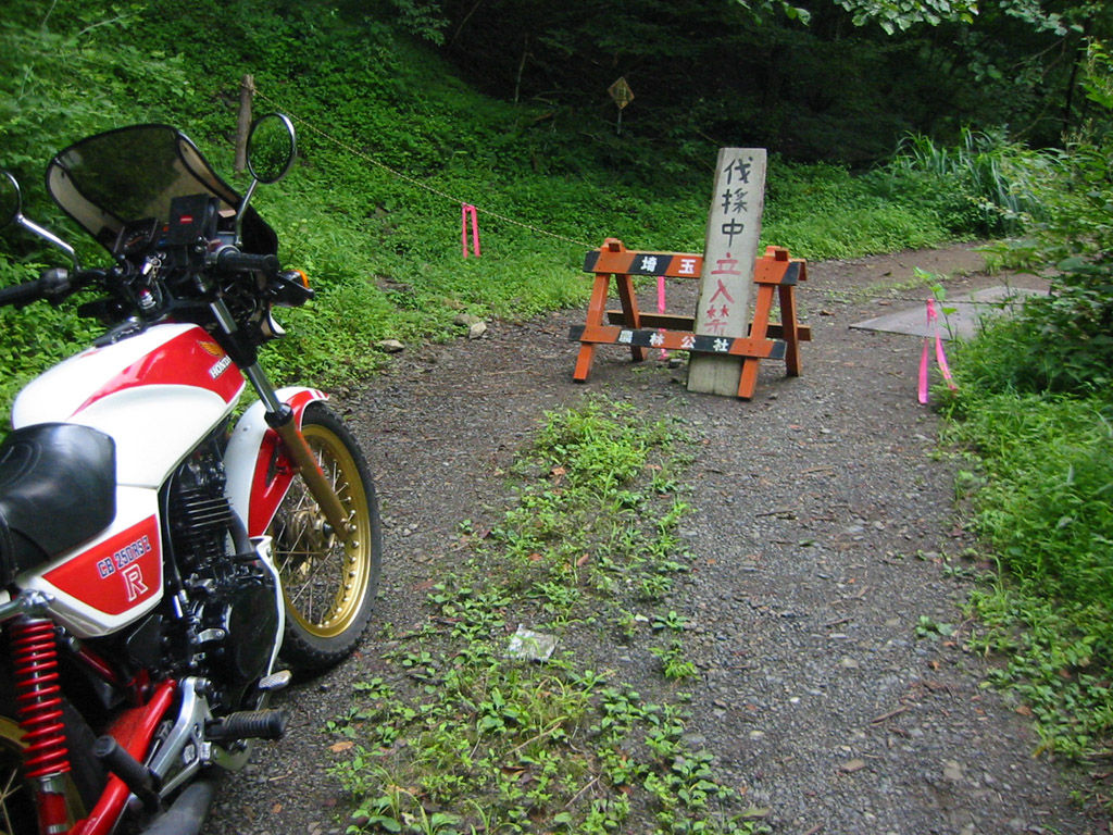 イメージ 15