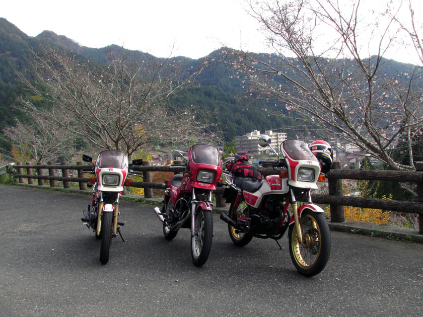 イメージ 13