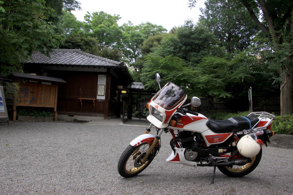 イメージ 19