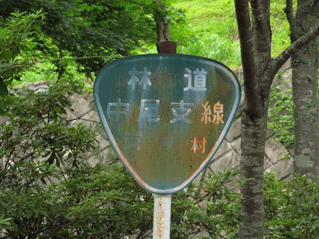 イメージ 36