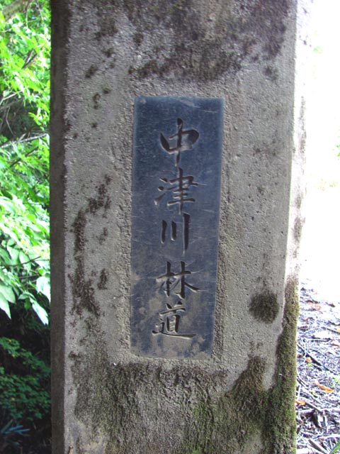イメージ 14