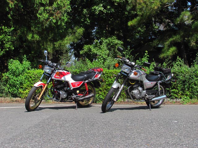 イメージ 1