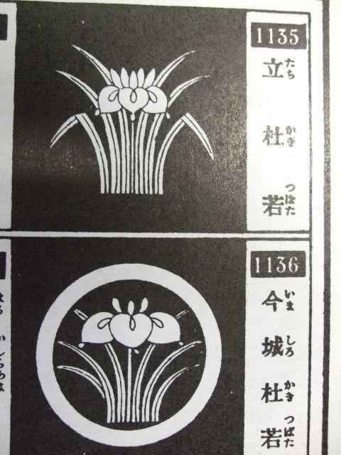 すべての美しい花の画像 最高のいずれ 菖蒲 か 杜若 どういう 意味 すべての美しい花の画像 最高のいずれ 菖蒲 か 杜若 どういう 意味