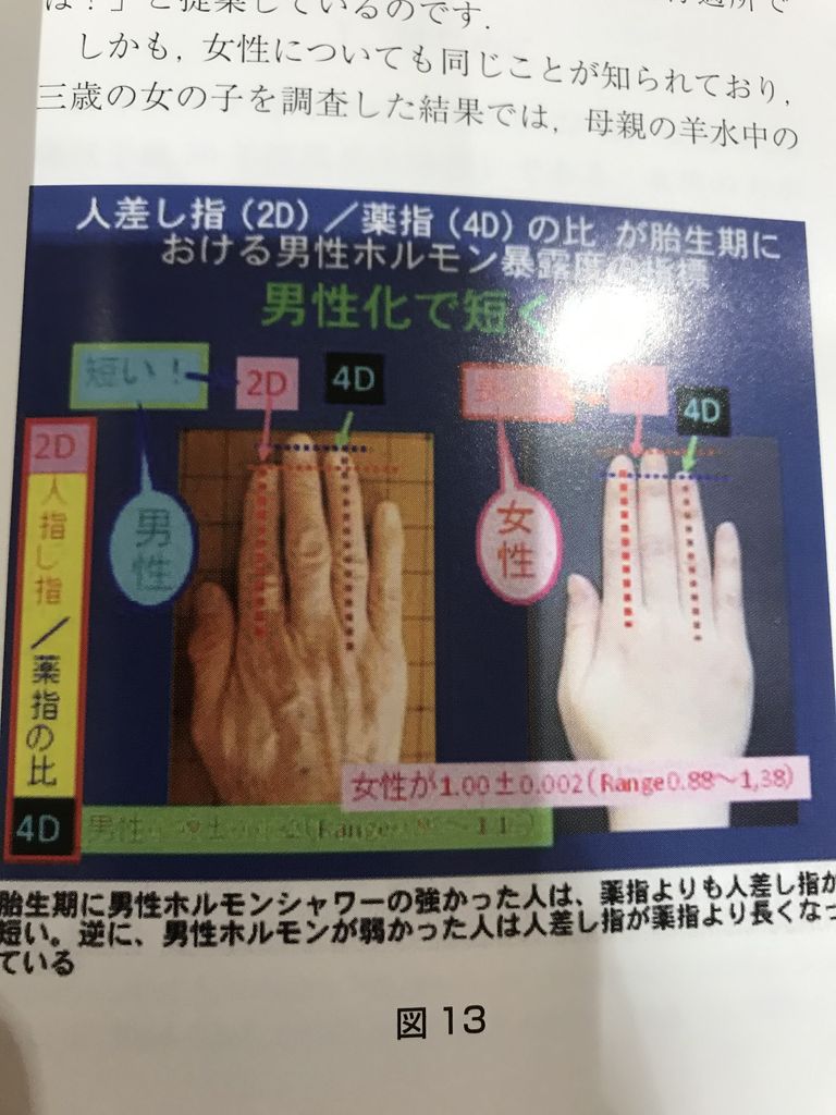 テストステロンと指の長さ 茨城県ひたちなか市伊藤医院 皮膚科 美容皮膚科のblog テストステロンと指の長さ 茨城県ひたちなか市伊藤医院 皮膚科 美容皮膚科のblog