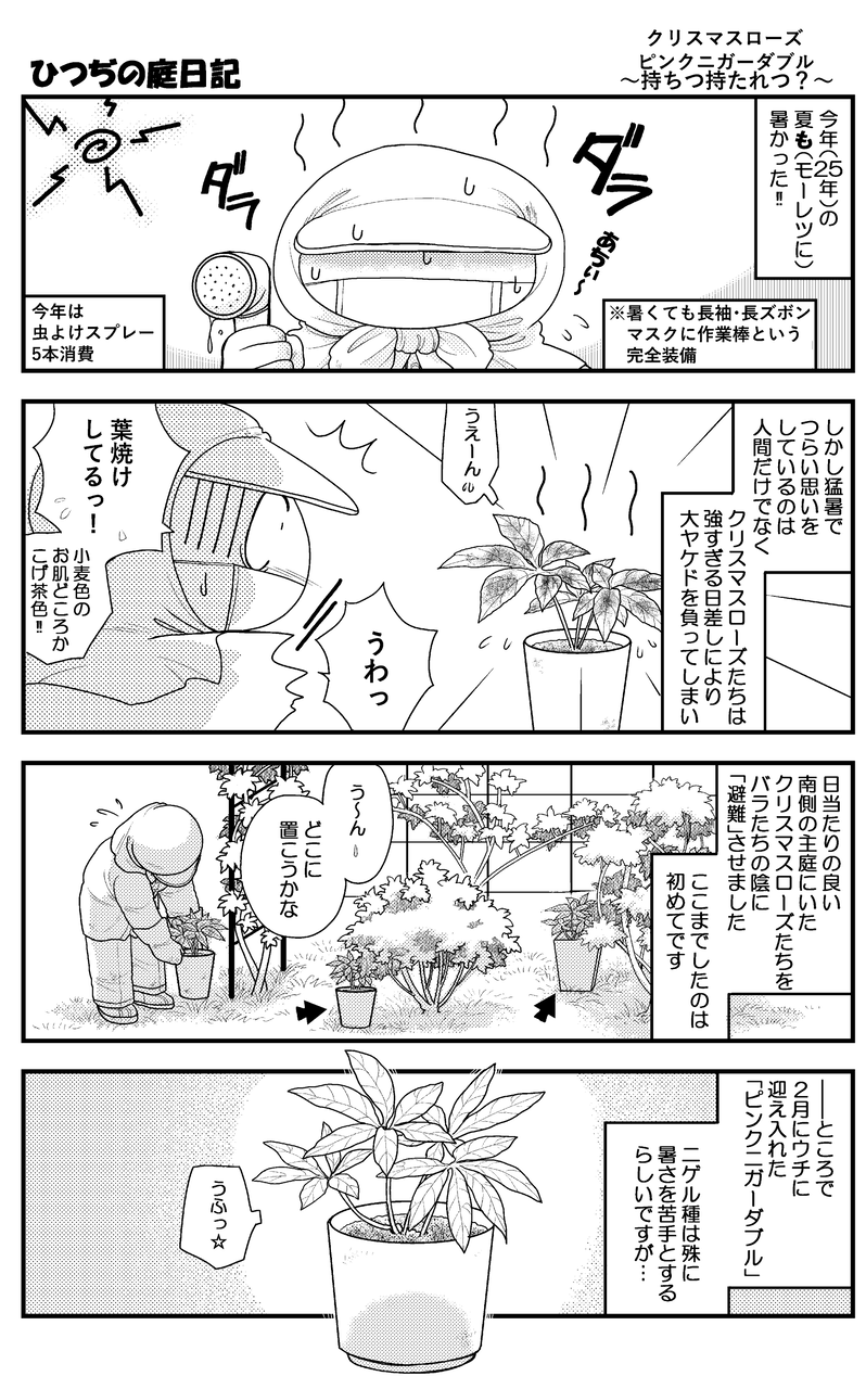 ピンクニガーダブル～夏越ししたクリスマスローズたち・マンガひつぢの