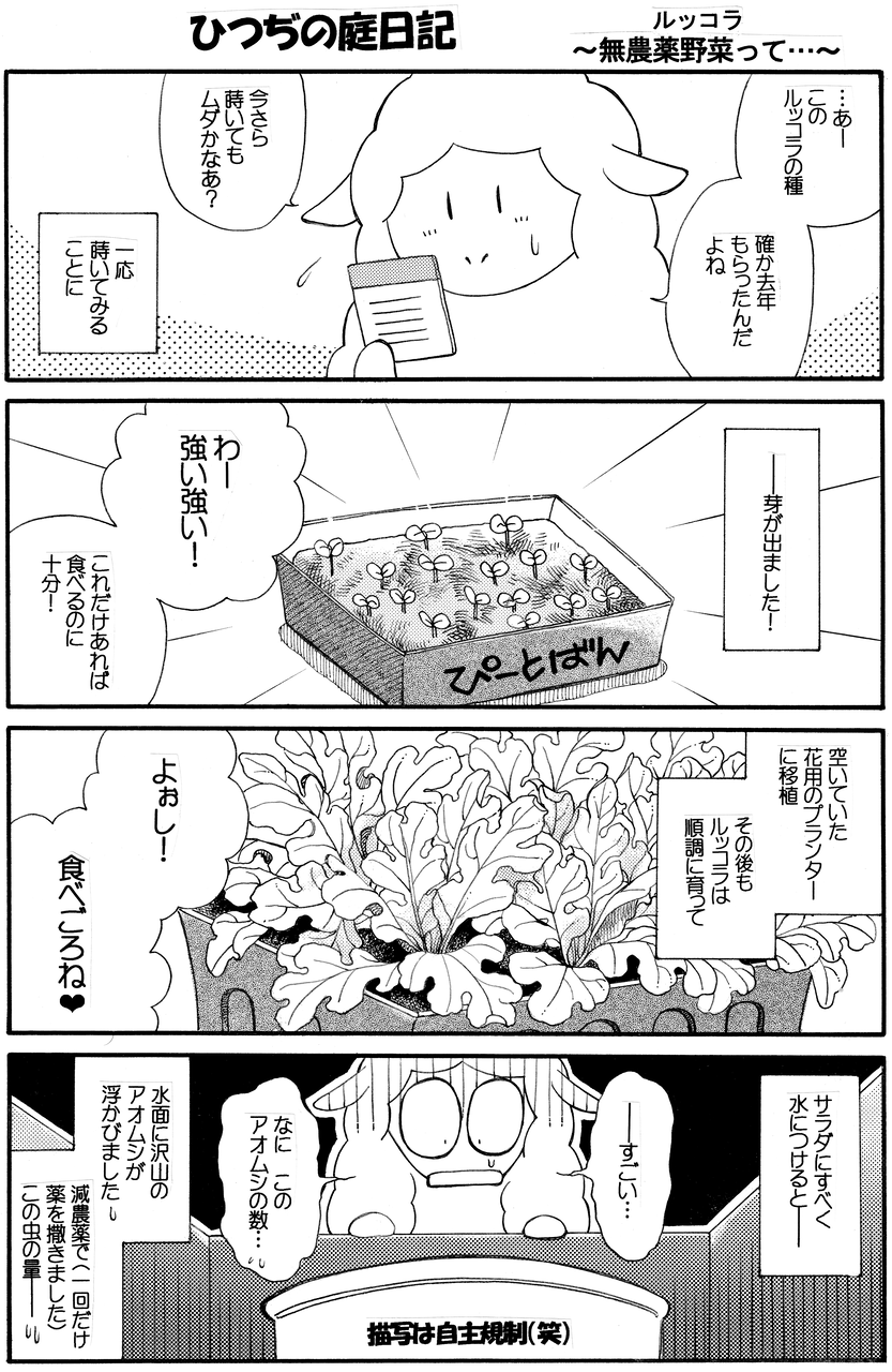 年07月04日 伊藤まゆみの ひつぢ 庭 日記