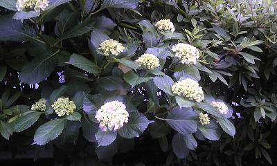 110527_135500