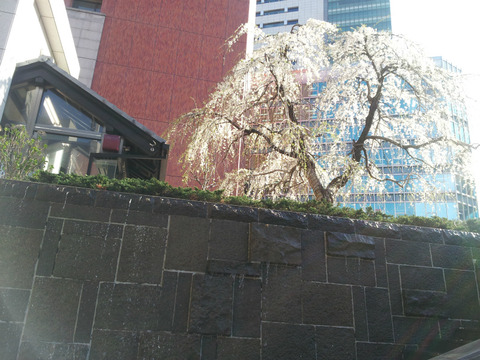 20120404_153629