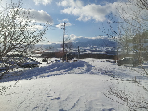 20130127_081142 (3)