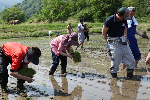 田植えシーン