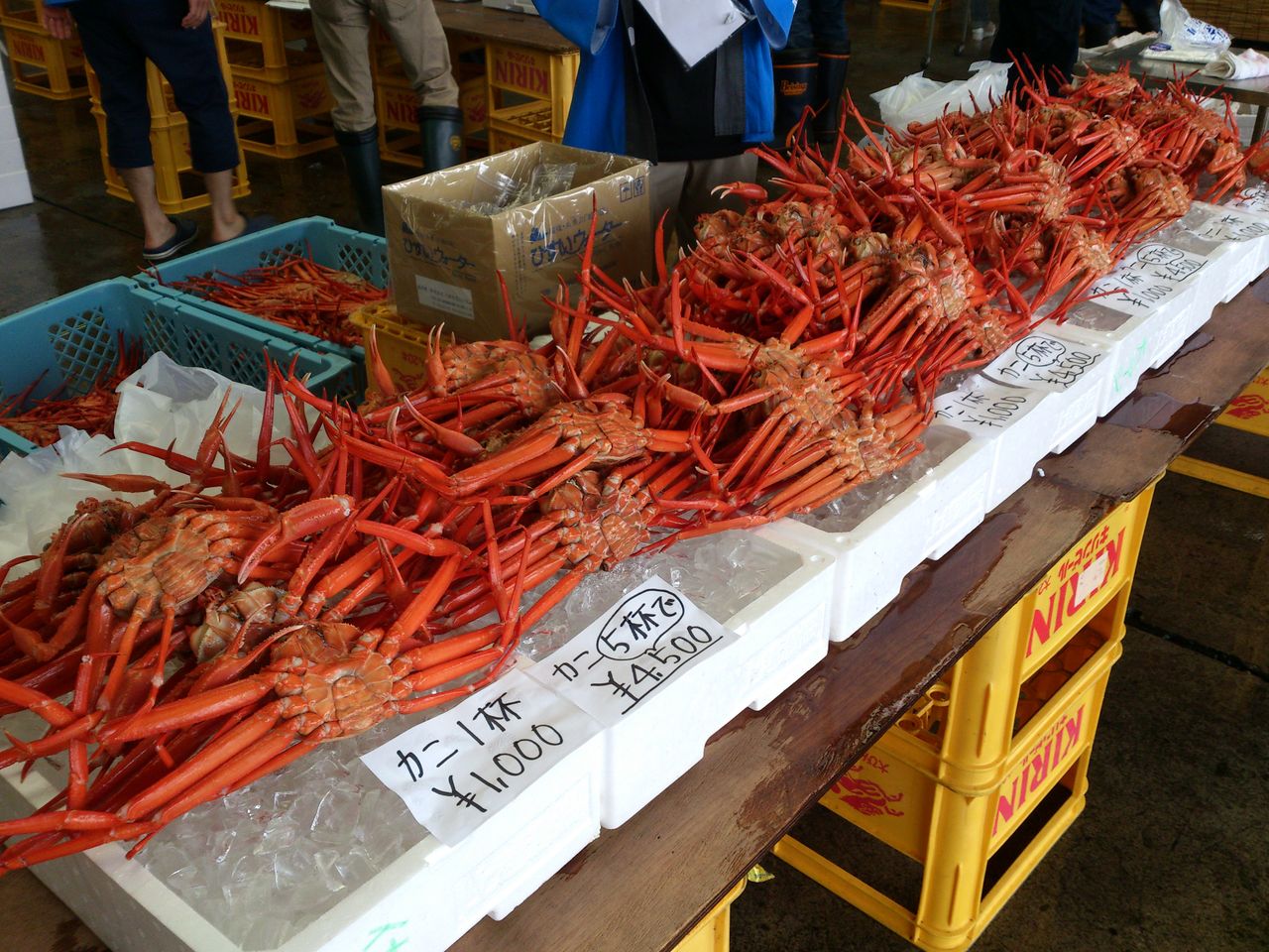 糸魚川市内はイベントが盛り沢山 糸魚川jcのブログ One 糸魚川市内はイベントが盛り沢山 糸魚川jcのブログ One