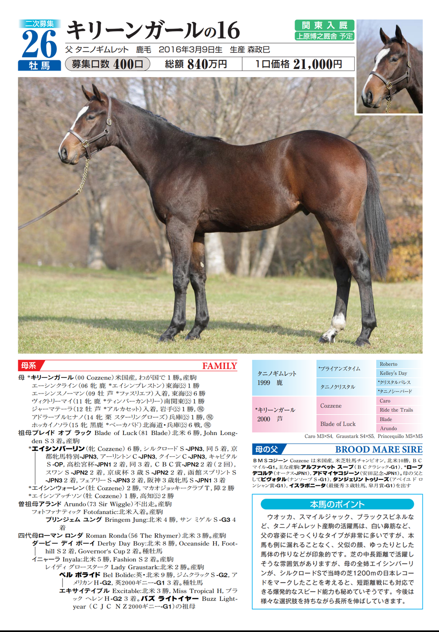 ノルマンディー16年産二次募集ラインナップ 牡馬編 いとけんの一口馬主 映画生活 ノルマンディー16年産二次募集ラインナップ 牡馬編 いとけんの一口馬主 映画生活
