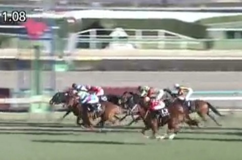 Screenshot_20220116-150006_JRA-VAN