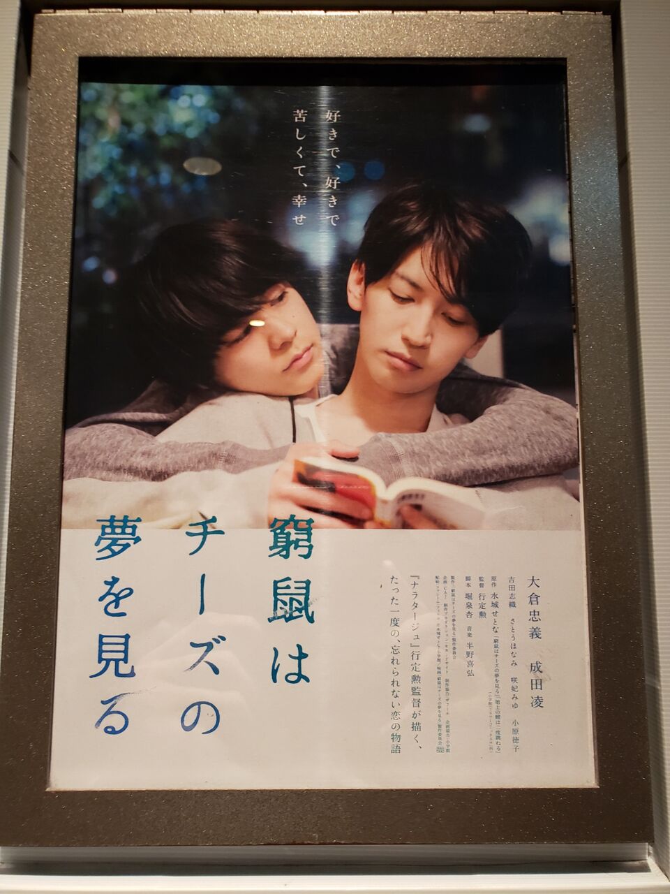 いとけん映画賞 いとけんの一口馬主 映画生活 いとけん映画賞 いとけんの一口馬主 映画生活
