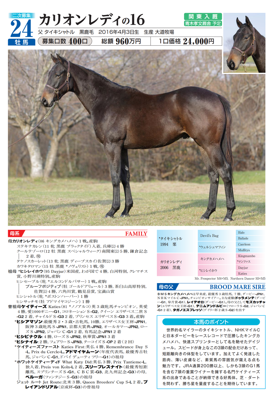 ノルマンディー16年産二次募集ラインナップ 牡馬編 いとけんの一口馬主 映画生活 ノルマンディー16年産二次募集ラインナップ 牡馬編 いとけんの一口馬主 映画生活