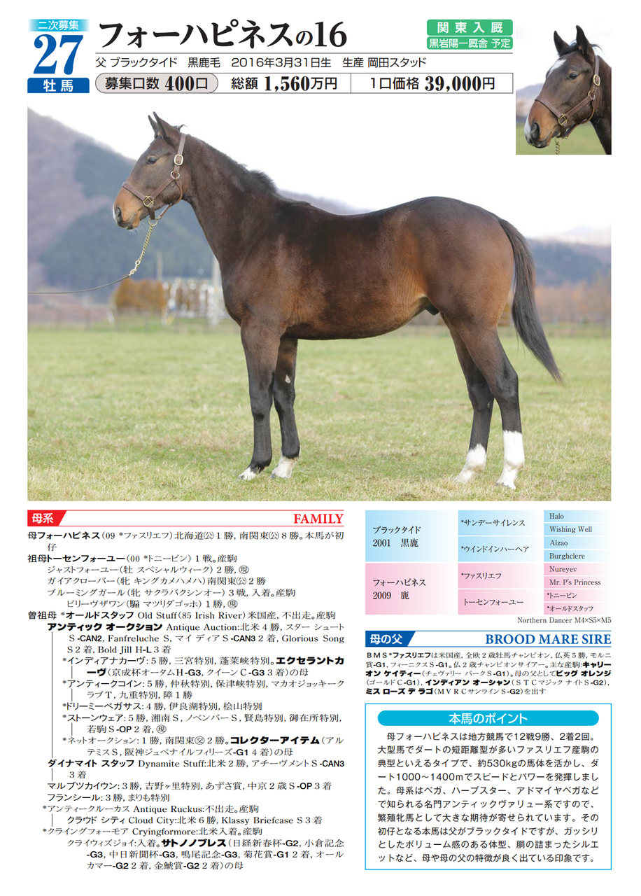 ノルマンディー16年産二次募集ラインナップ 牡馬編 いとけんの一口馬主 映画生活 ノルマンディー16年産二次募集ラインナップ 牡馬編 いとけんの一口馬主 映画生活