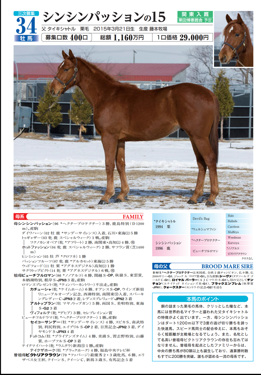 出資馬紹介 その9シュネルスト シンシンパッションの15 いとけんの一口馬主 映画生活