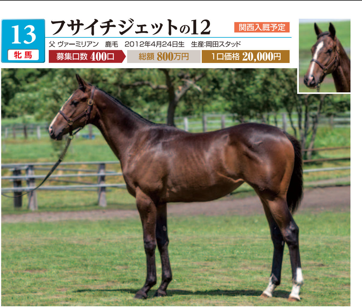 ノルマンディー17年産 馬体評価② 岡田スタッド産牝馬 : いとけんの 