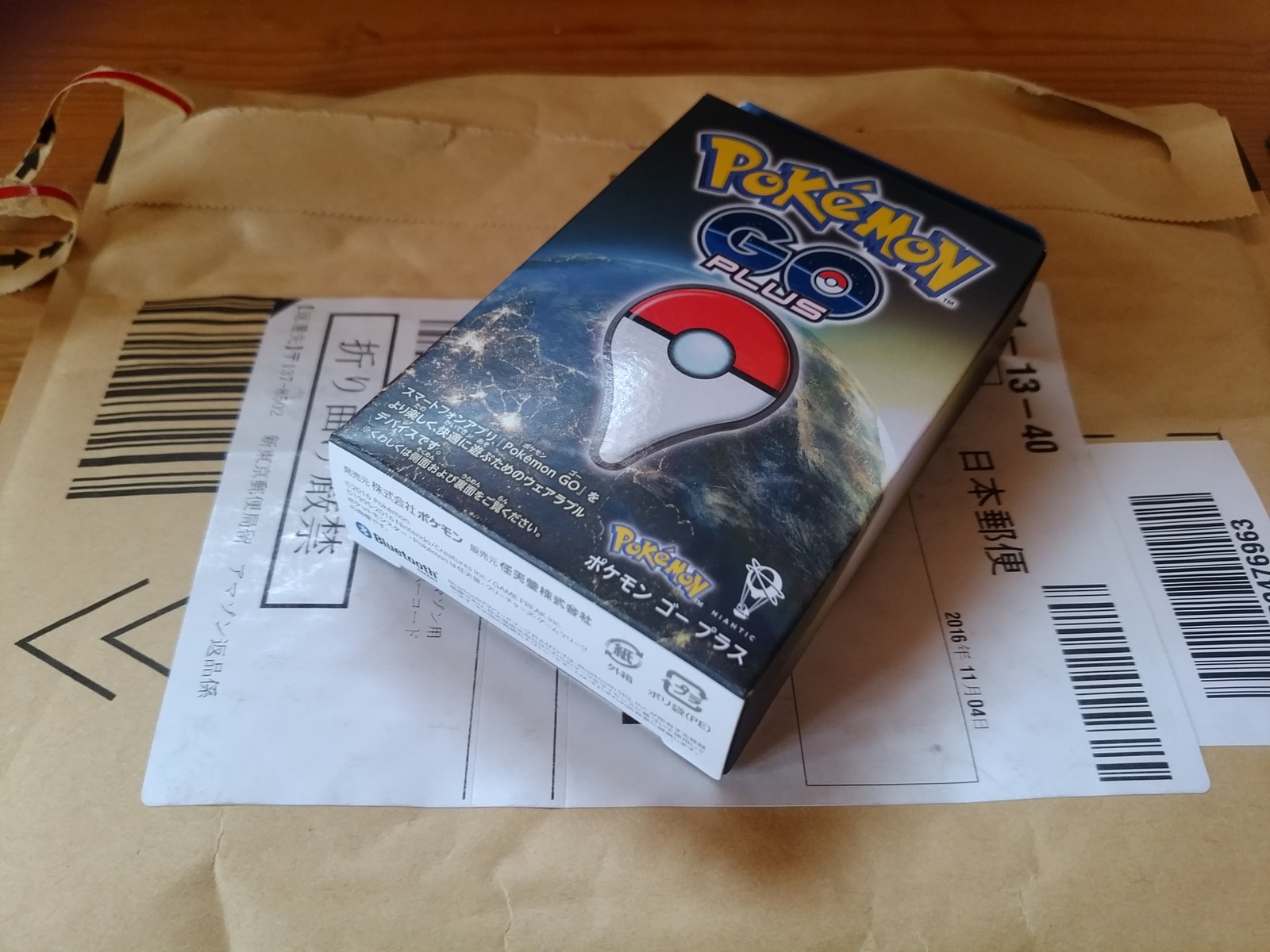 日記その6 ついに手に入れたわに イトコーブログ 仮称