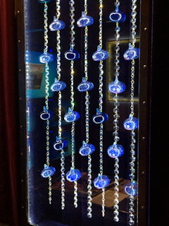 photo7