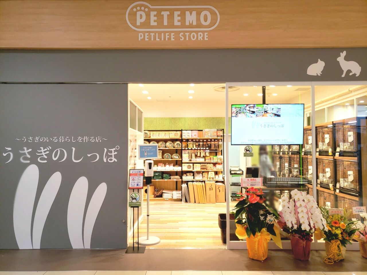 千葉初出店 美浜区豊砂 イオンモール幕張新都心 に うさぎのしっぽ なるうさぎ専門店がオープンしてる ちば通信 千葉県千葉市の地域情報サイト 千葉初出店 美浜区豊砂 イオンモール幕張新都心 に うさぎのしっぽ なるうさぎ専門店がオープンしてる ちば通信 千葉県千葉市の地域情報サイト