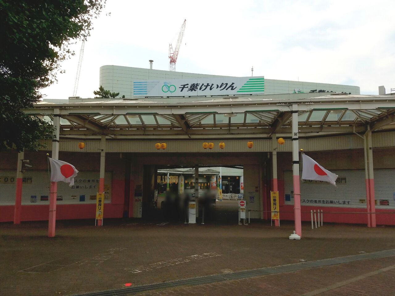 ドーム 千葉 公園
