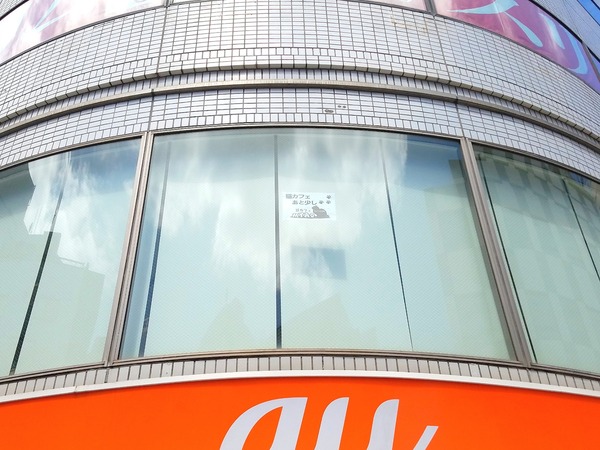 21-06-05-22-47-37-265_deco