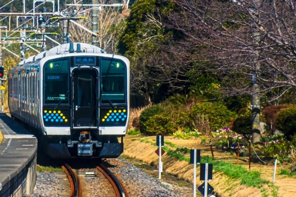4514155_s