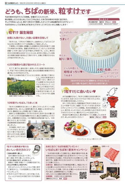 page1
