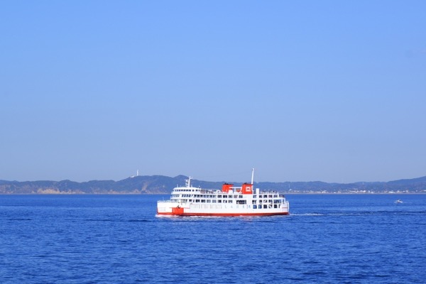 26167557_s