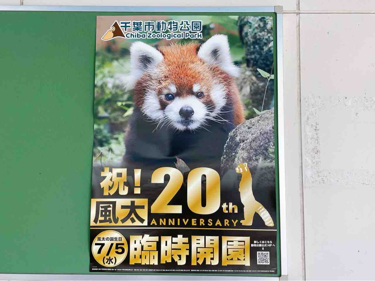 風太の誕生日 風太の誕生日