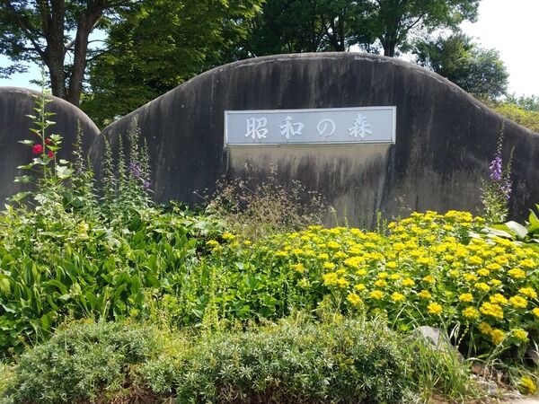 桜を見ながら屋台飯 千葉市昭和の森公園 で 桜まつり 開催 3月26日 27日 4月2日 3日 ちば通信 千葉県千葉市の地域情報サイト 桜を見ながら屋台飯 千葉市昭和の森公園 で 桜まつり 開催 3月26日 27日 4月2日 3日 ちば通信 千葉県千葉市の地域情報サイト