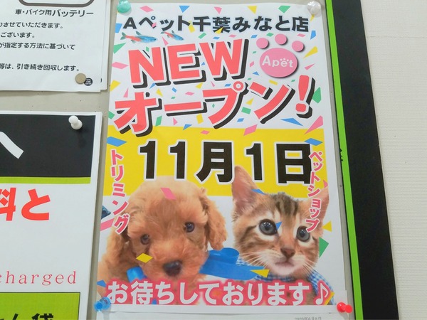 20-11-01-18-45-33-660_deco