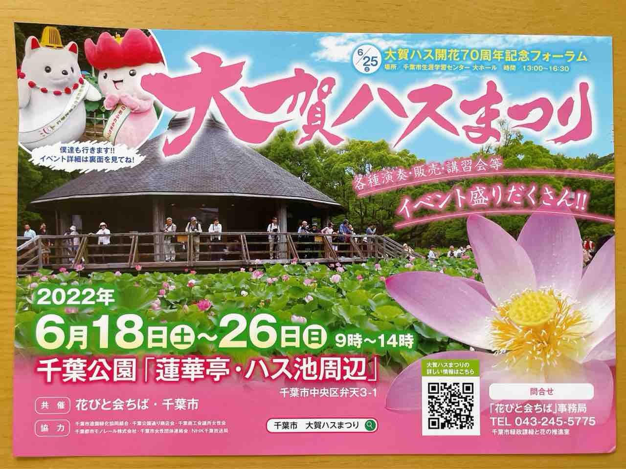 3年ぶりの開催 開花70周年 千葉公園 で 大賀ハスまつり 開催 6月18日 26日 ちば通信 千葉県千葉市の地域情報サイト