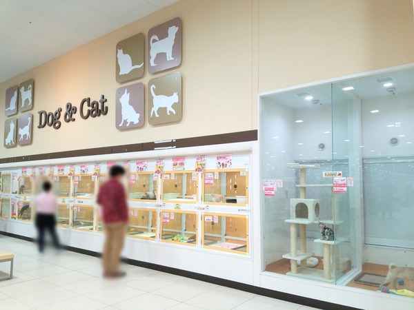 Point Blur_20201101_185732