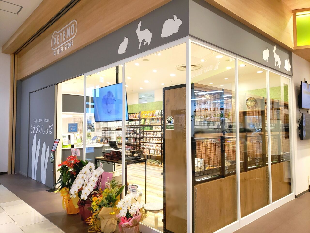 千葉初出店 美浜区豊砂 イオンモール幕張新都心 に うさぎのしっぽ なるうさぎ専門店がオープンしてる ちば通信 千葉県千葉市の地域情報サイト 千葉初出店 美浜区豊砂 イオンモール幕張新都心 に うさぎのしっぽ なるうさぎ専門店がオープンしてる ちば通信 千葉県千葉市の地域情報サイト