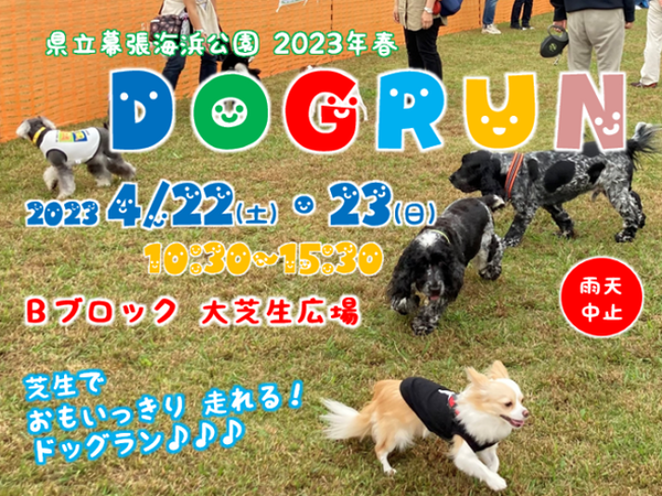 d34888-347-e3e77b598227b290233b-17