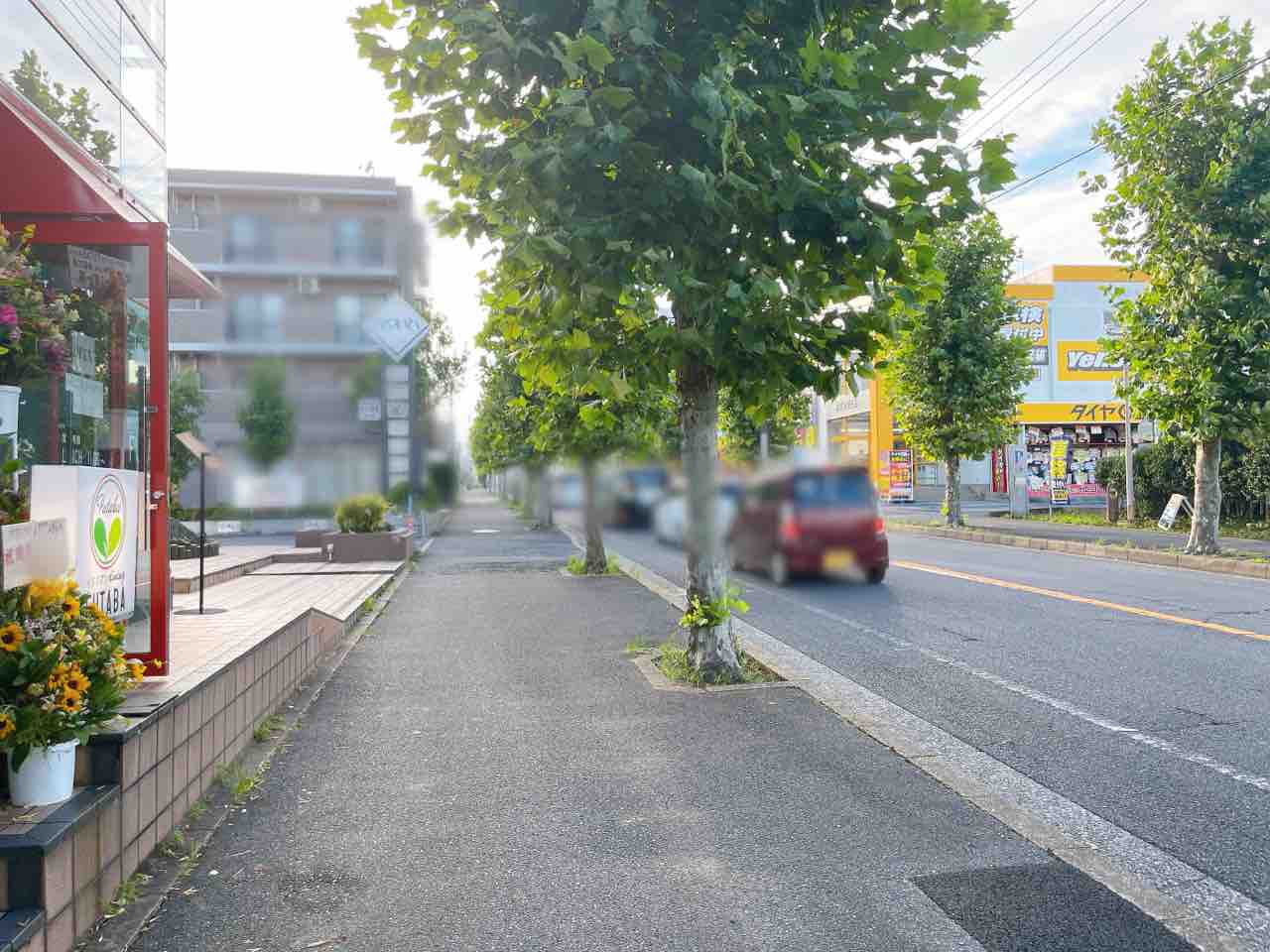 緑区あすみが丘に イタリアンdining Futaba なるイタリアンレストランがオープンしてる ちば通信 千葉県千葉市の地域情報サイト