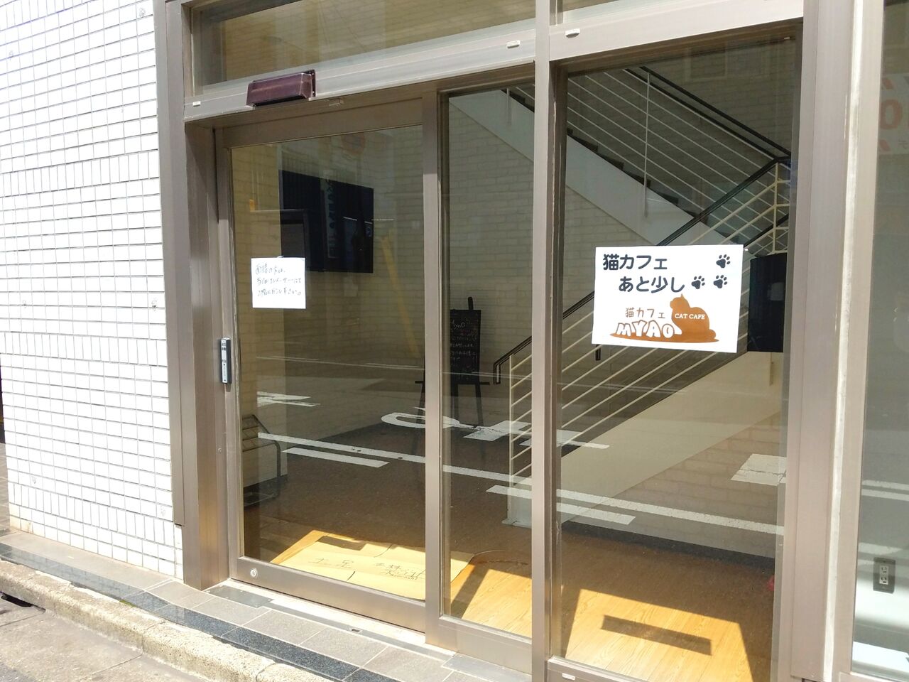 中央区富士見に 猫カフェ Myao が移転オープンするらしい ちば通信 千葉県千葉市の地域情報サイト 中央区富士見に 猫カフェ Myao が移転オープンするらしい ちば通信 千葉県千葉市の地域情報サイト